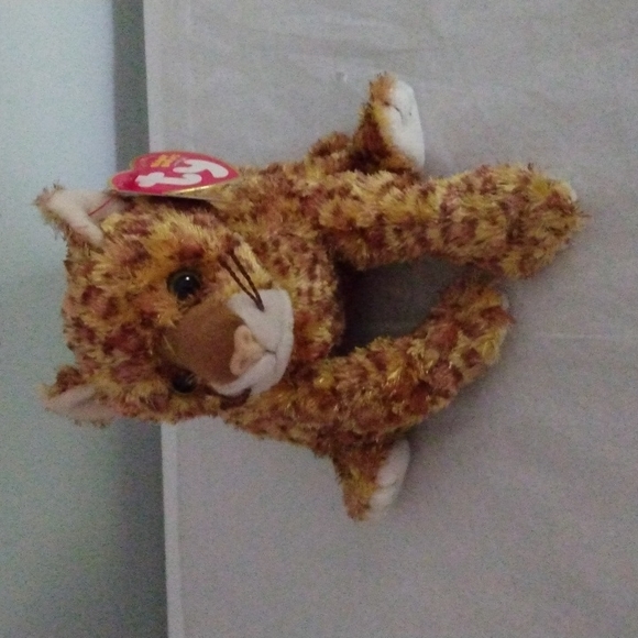 Ty Other - TY Beanie Baby Dotson
